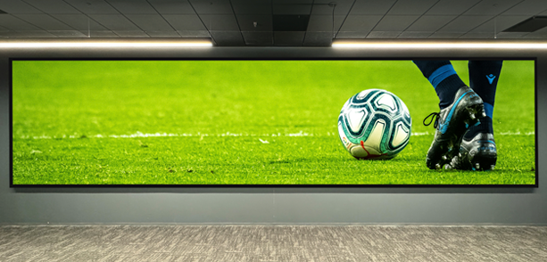 Full Horizontal Image 2